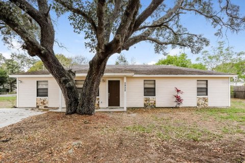 Villa ou maison à Eustis, Floride 3 chambres, 120.4 m2 № 2406976