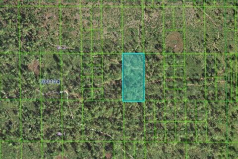 Terrain à Lake Wales, Floride № 2158937