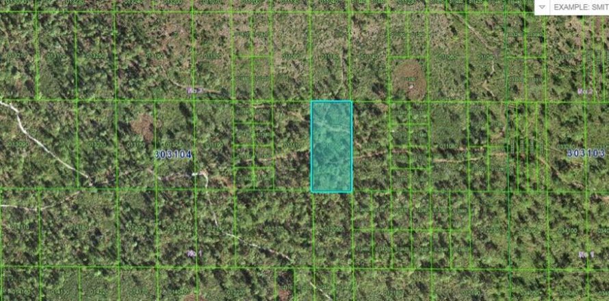 Terrain à Lake Wales, Floride № 2158937