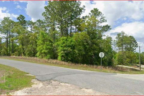 Land in Citrus Springs, Florida № 2164738 - photo 4