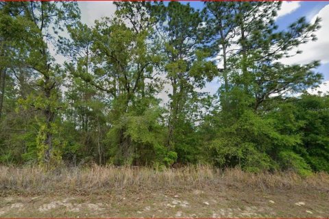 Land in Citrus Springs, Florida № 2164738 - photo 2