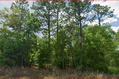 Land in Citrus Springs, Florida № 2164738 - photo 3