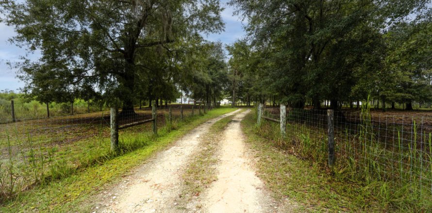 House in Hampton, Florida 3 bedrooms, 130.43 sq.m. № 773950
