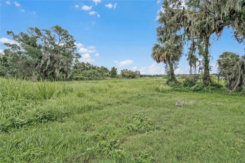 Land in Winter Haven, Florida № 1560742 - photo 25
