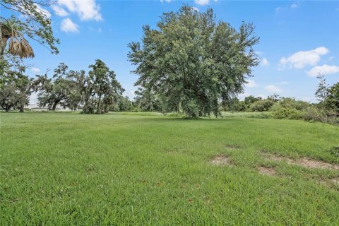 Land in Winter Haven, Florida № 1560742 - photo 20