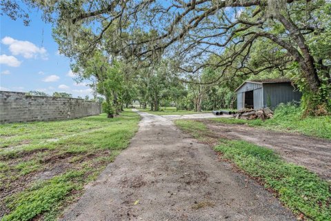 Land in Winter Haven, Florida № 1560742 - photo 5