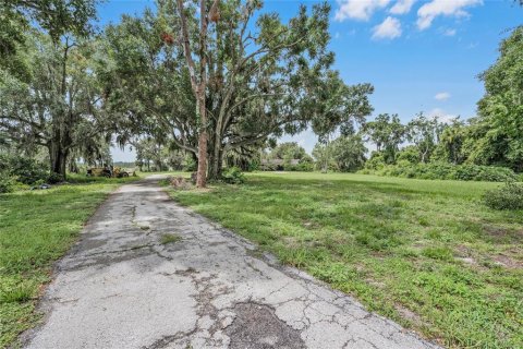 Land in Winter Haven, Florida № 1560742 - photo 4