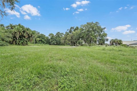 Land in Winter Haven, Florida № 1560742 - photo 26