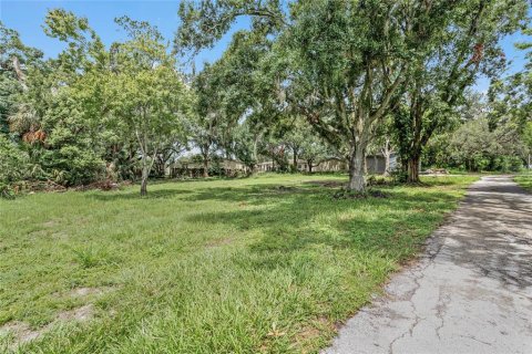 Land in Winter Haven, Florida № 1560742 - photo 7