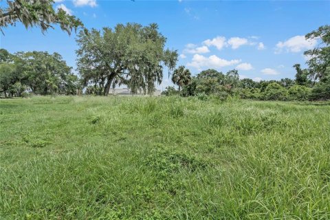 Land in Winter Haven, Florida № 1560742 - photo 19