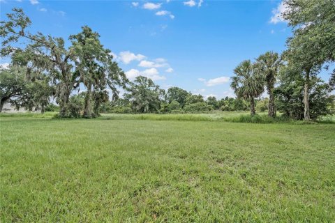 Land in Winter Haven, Florida № 1560742 - photo 22