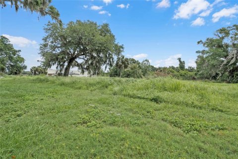 Land in Winter Haven, Florida № 1560742 - photo 24