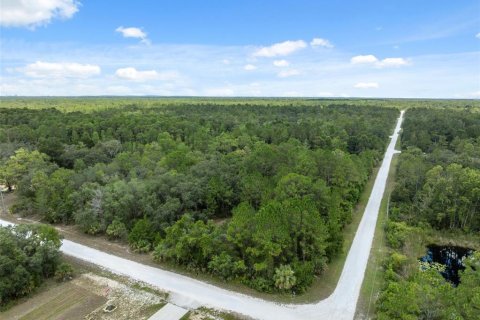 Land in Weeki Wachee, Florida № 1540255 - photo 9