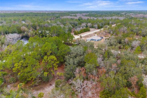 Land in Weeki Wachee, Florida № 1540255 - photo 5