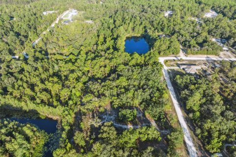 Land in Weeki Wachee, Florida № 1540255 - photo 26