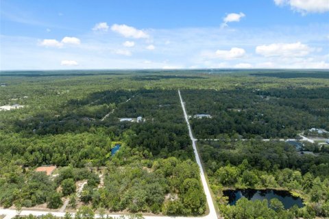 Land in Weeki Wachee, Florida № 1540255 - photo 13