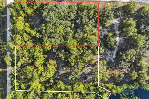Land in Weeki Wachee, Florida № 1540255 - photo 25
