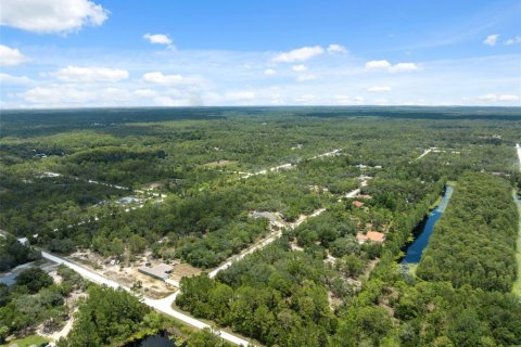Land in Weeki Wachee, Florida № 1540255 - photo 15