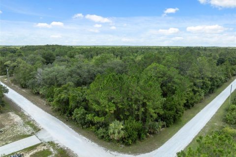Land in Weeki Wachee, Florida № 1540255 - photo 8