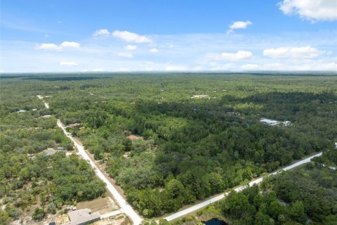 Land in Weeki Wachee, Florida № 1540255 - photo 11