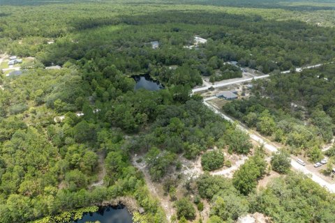 Land in Weeki Wachee, Florida № 1540255 - photo 19