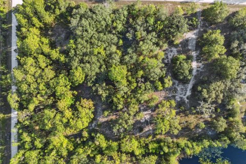 Land in Weeki Wachee, Florida № 1540255 - photo 27