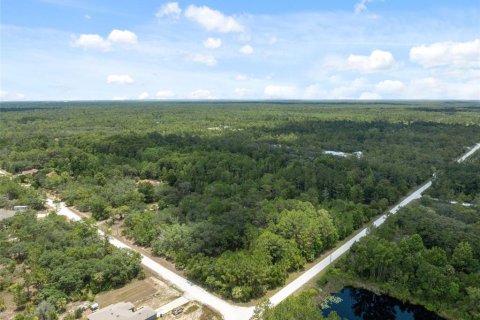 Land in Weeki Wachee, Florida № 1540255 - photo 12