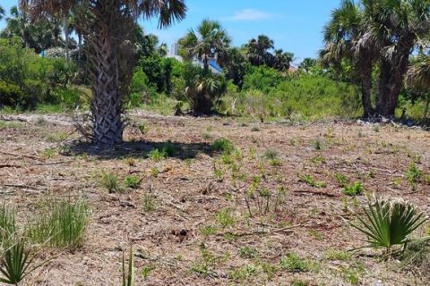 Terreno en venta en Palm Coast, Florida № 1142903 - foto 3