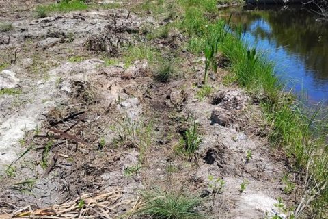 Terreno en venta en Palm Coast, Florida № 1142903 - foto 5