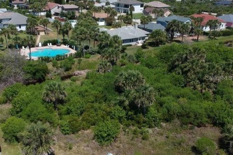 Terreno en venta en Palm Coast, Florida № 1142903 - foto 11