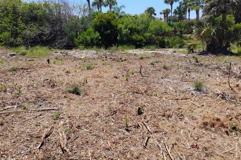 Terreno en venta en Palm Coast, Florida № 1142903 - foto 7