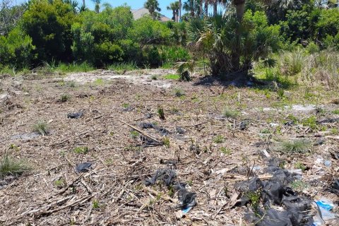 Terreno en venta en Palm Coast, Florida № 1142903 - foto 4