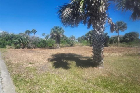 Terreno en venta en Palm Coast, Florida № 1142903 - foto 2