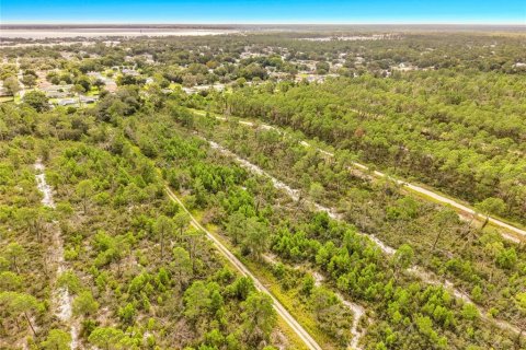 Land in Sebring, Florida № 2388131 - photo 16
