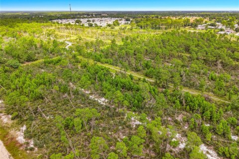 Land in Sebring, Florida № 2388131 - photo 7