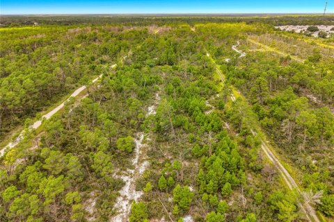 Land in Sebring, Florida № 2388131 - photo 13