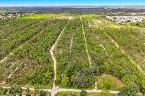 Land in Sebring, Florida № 2388131 - photo 25