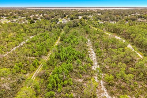 Land in Sebring, Florida № 2388131 - photo 11