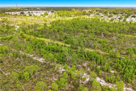 Land in Sebring, Florida № 2388131 - photo 21