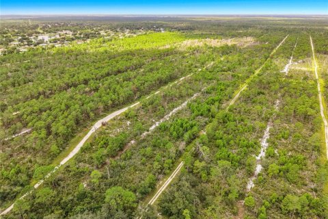 Land in Sebring, Florida № 2388131 - photo 23