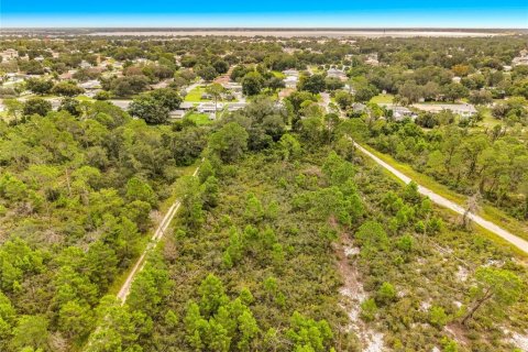 Land in Sebring, Florida № 2388131 - photo 12