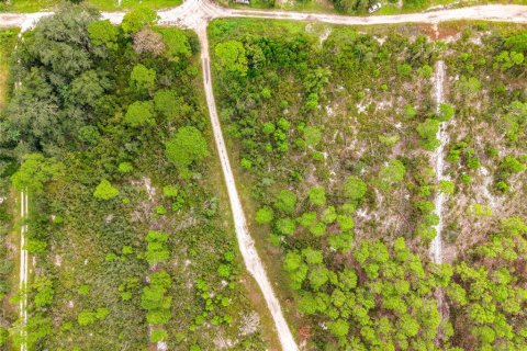 Land in Sebring, Florida № 2388131 - photo 20