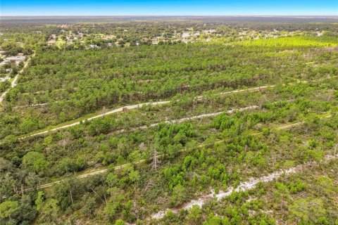 Land in Sebring, Florida № 2388131 - photo 22