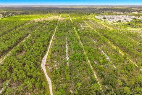 Land in Sebring, Florida № 2388131 - photo 24