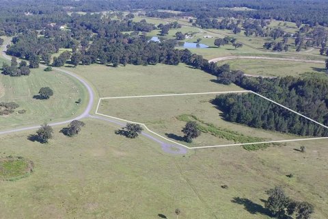 Land in Ocala, Florida № 2396211