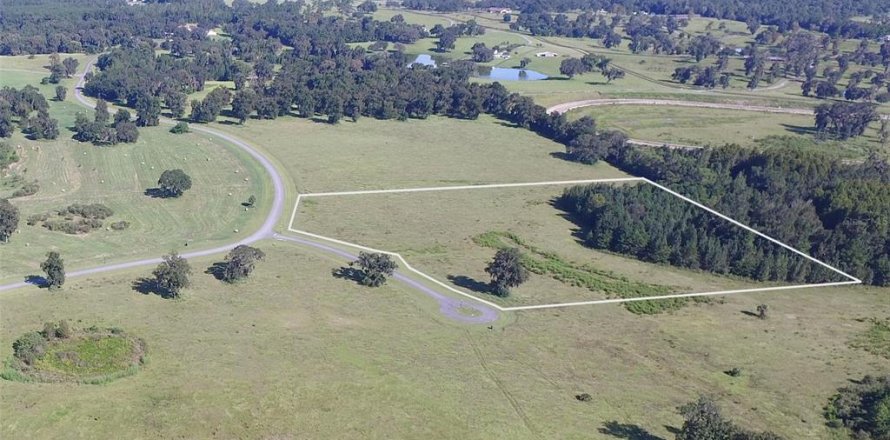 Land in Ocala, Florida № 2396211