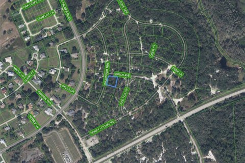 Land in Sebring, Florida № 2329666