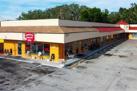 Commercial property in Holiday, Florida 525.08 sq.m. № 1903373 - photo 3