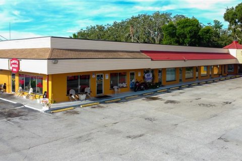 Immobilier commercial à louer à Holiday, Floride: 525.08 m2 № 1903373 - photo 2