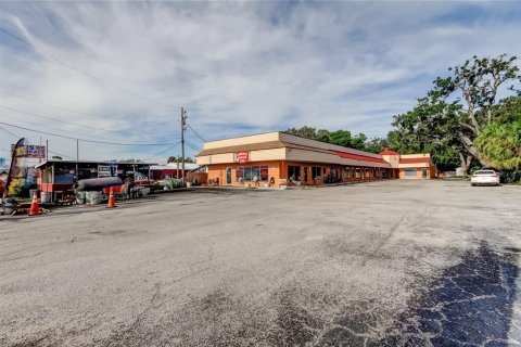 Commercial property in Holiday, Florida 525.08 sq.m. № 1903373 - photo 28
